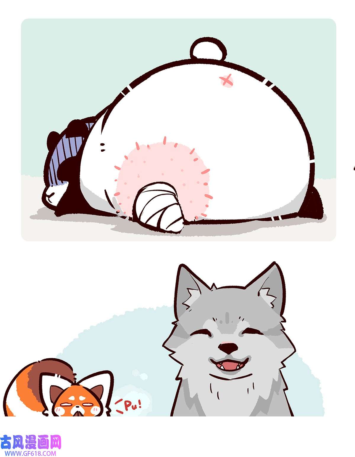 6.jpg