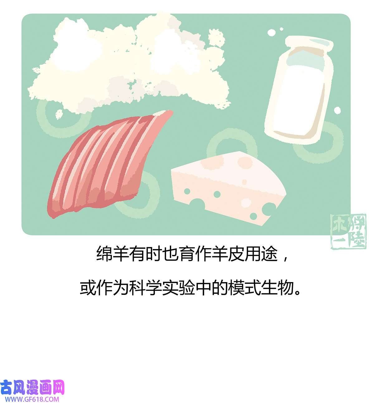 11.jpg