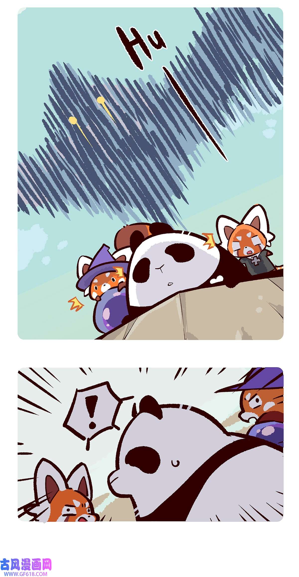11.jpg