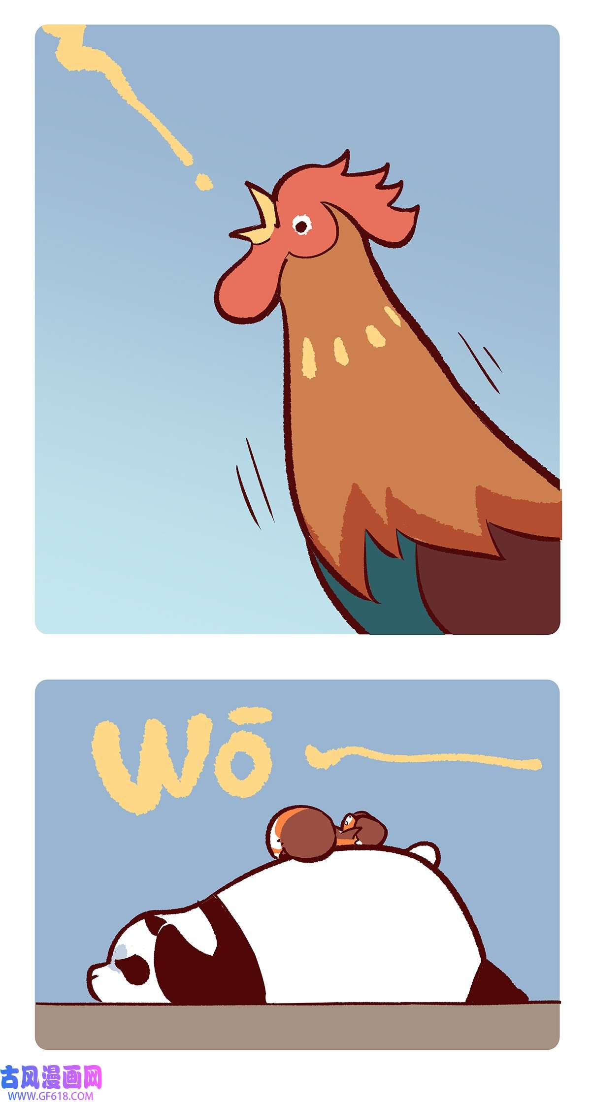 5.jpg