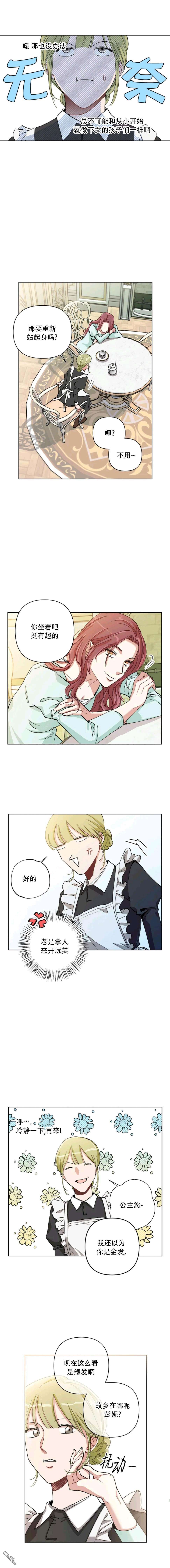 16.jpg