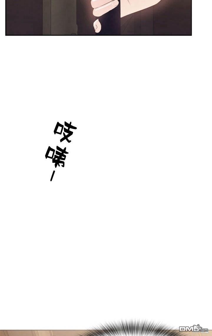 81.jpg