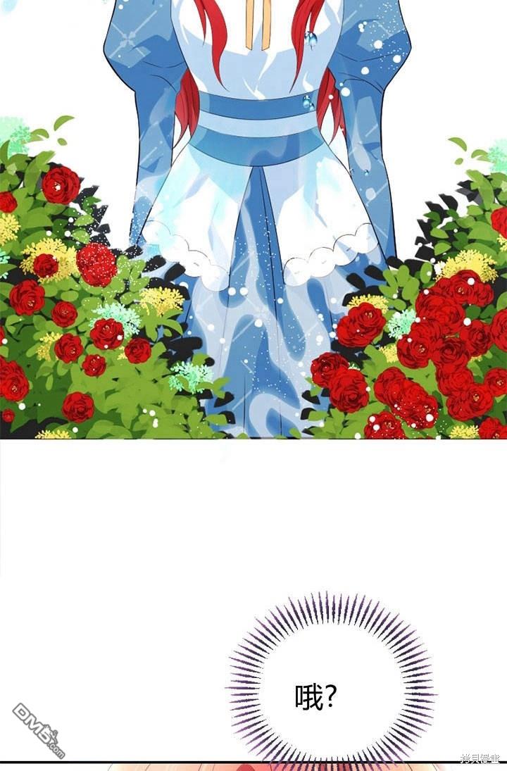 81.jpg