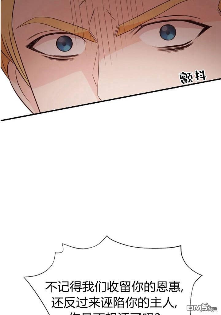 54.jpg