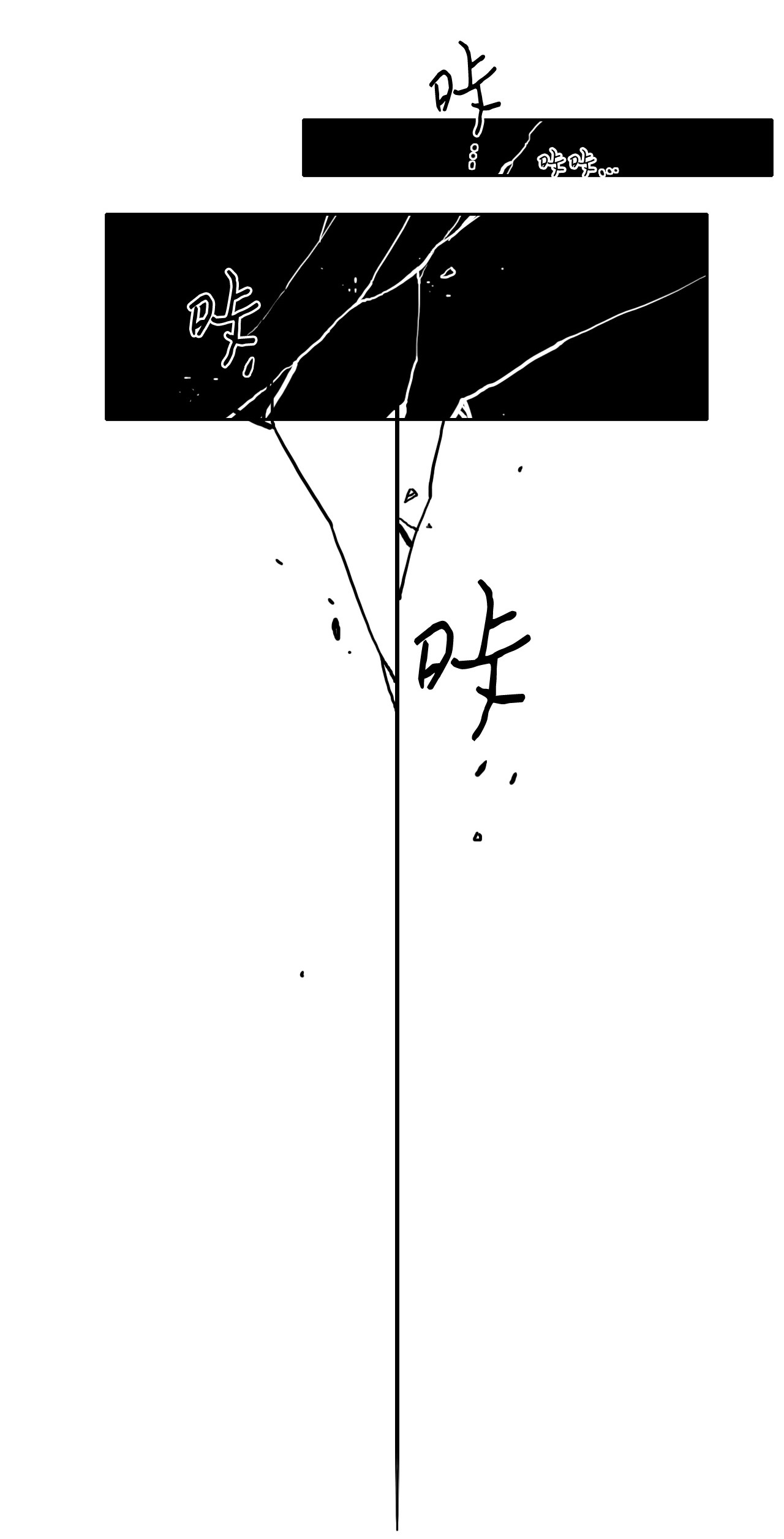 55.jpg