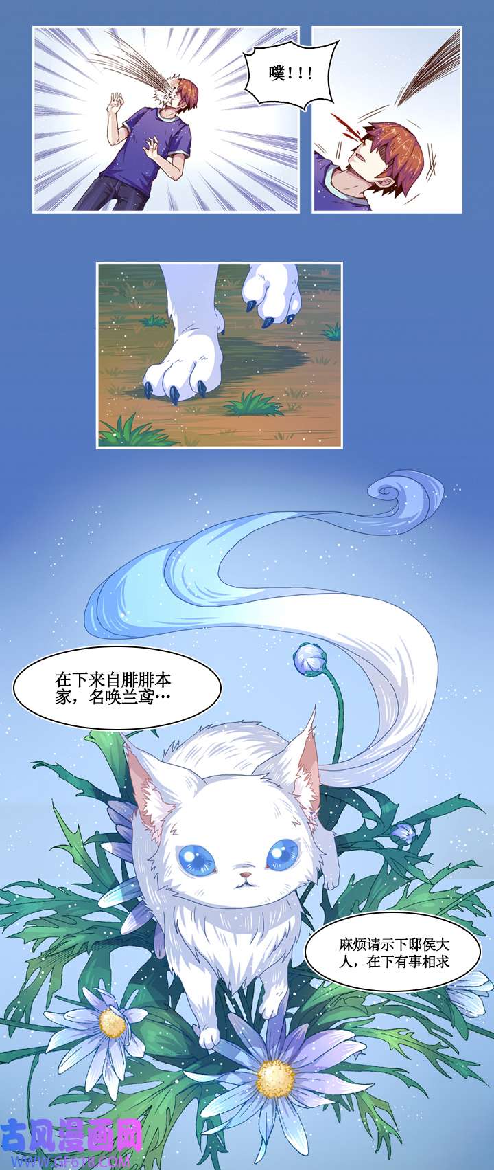 5.jpg