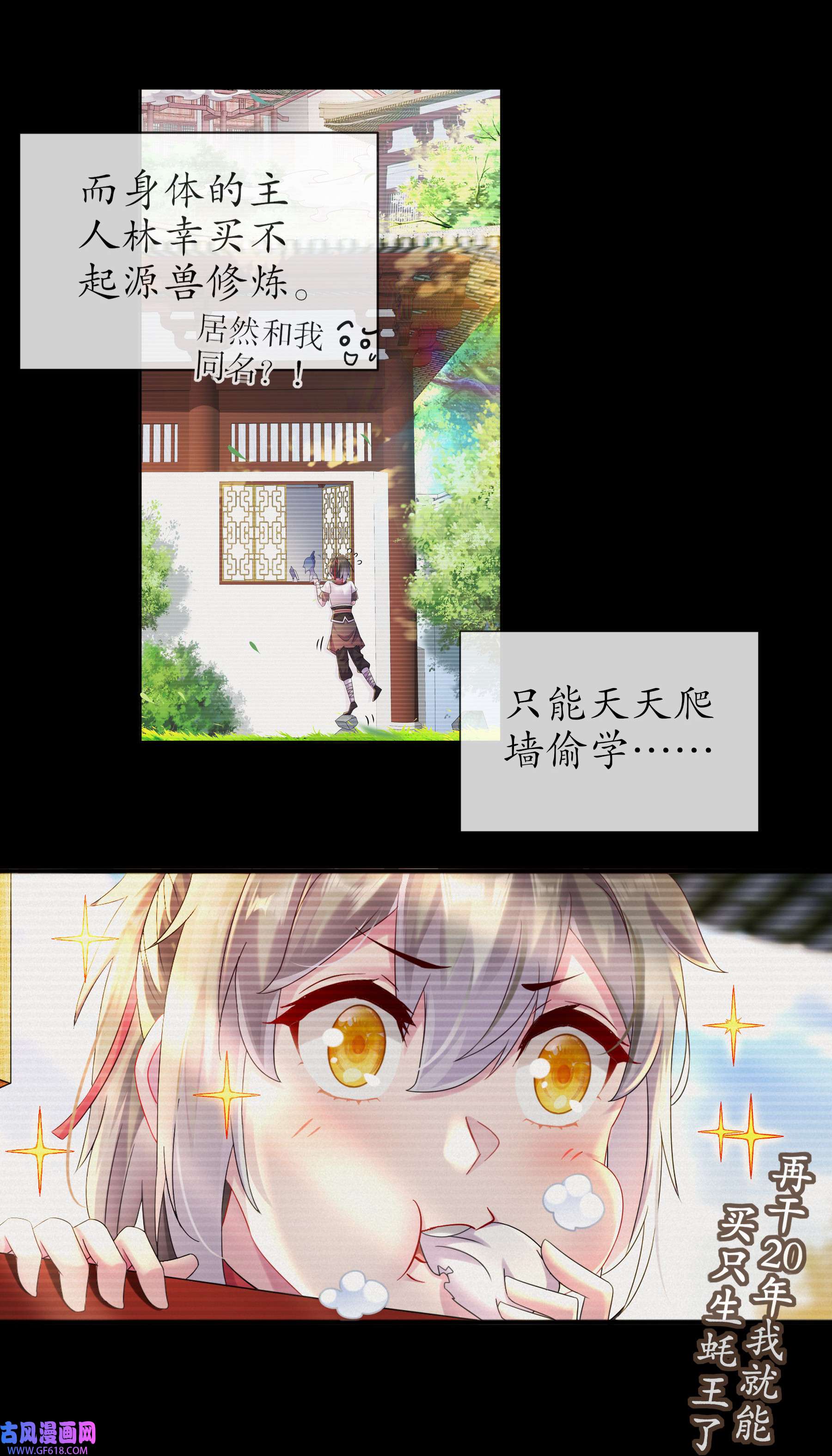 20.jpg