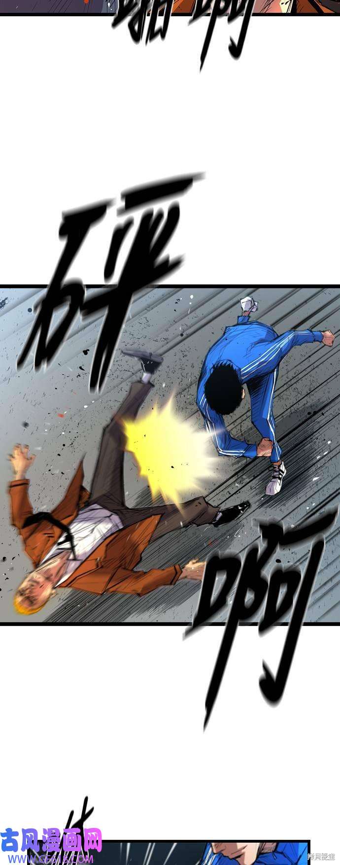 12.jpg