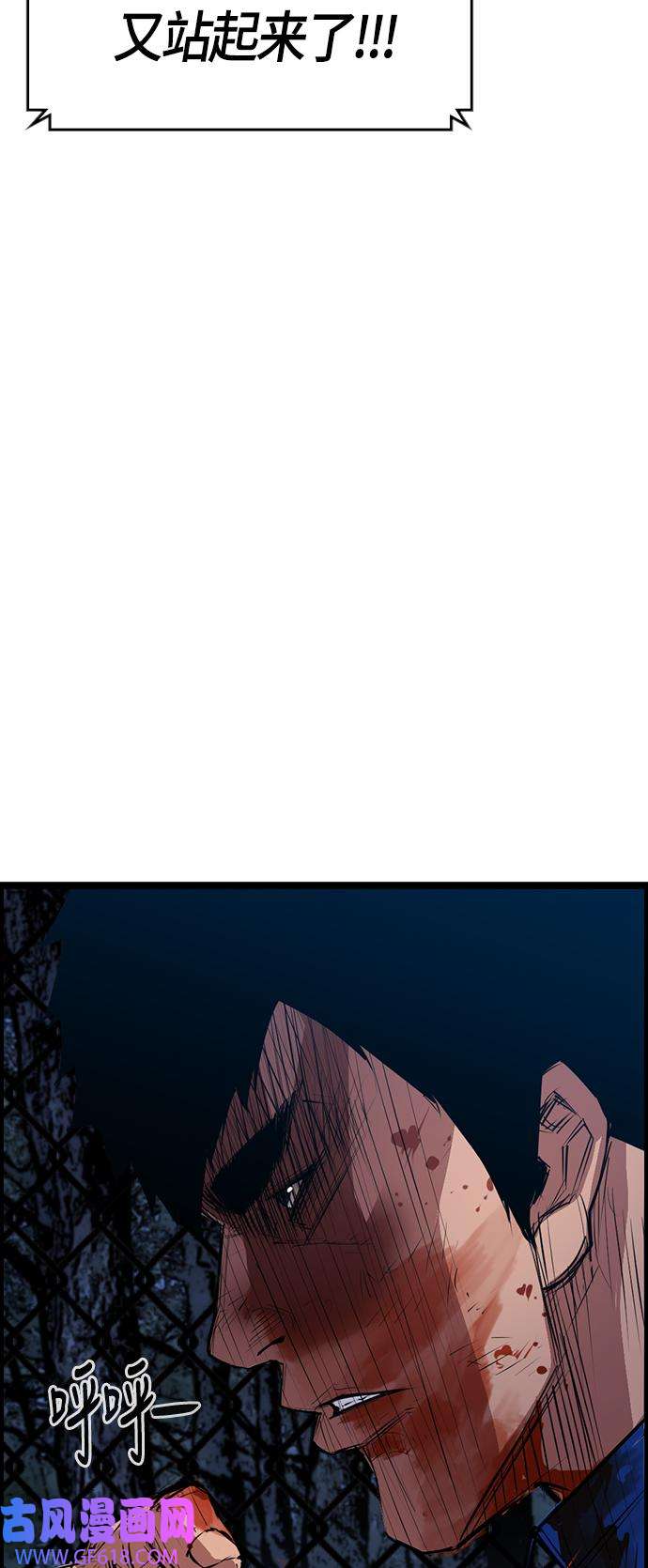 48.jpg
