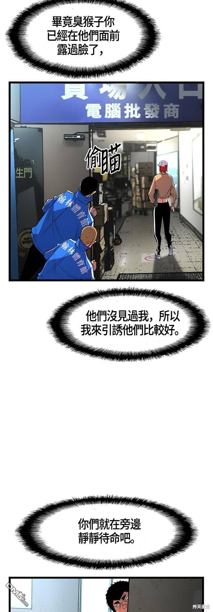 48.jpg