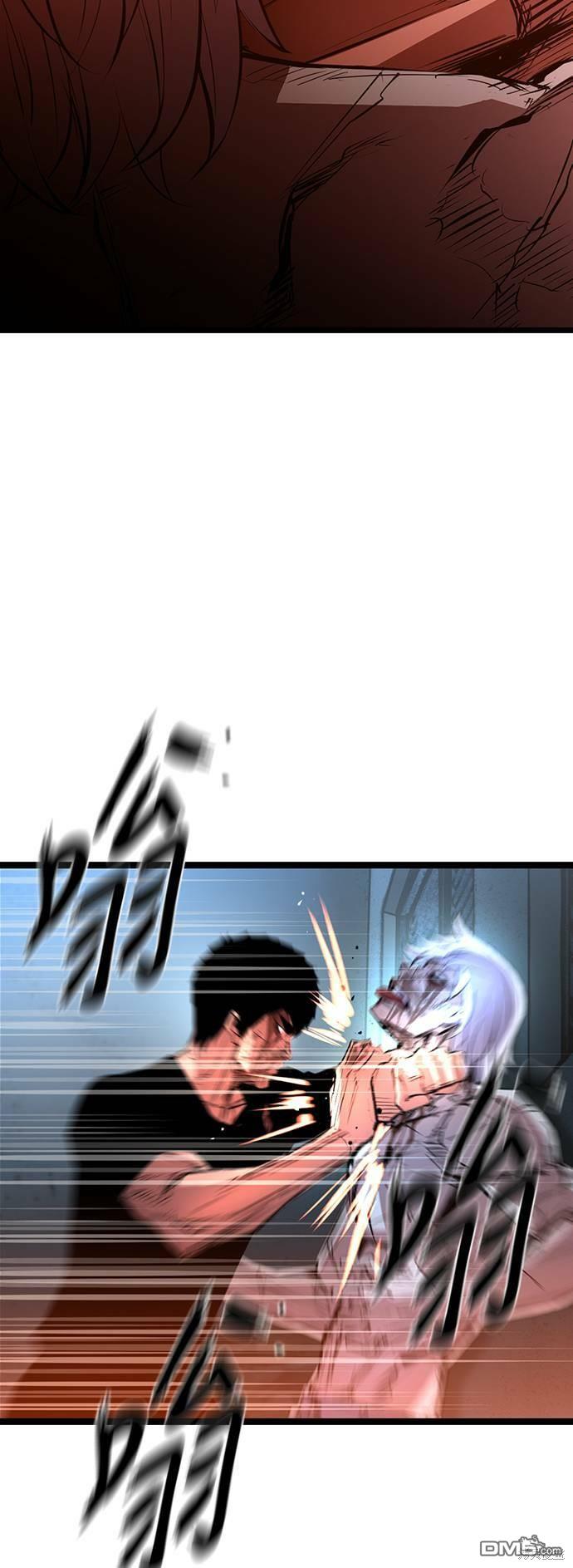 48.jpg