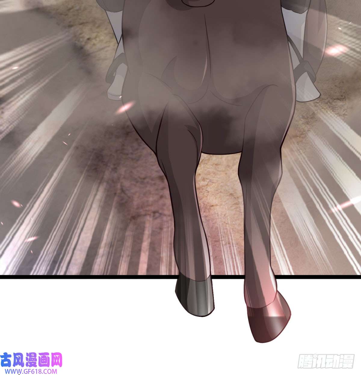 113.jpg