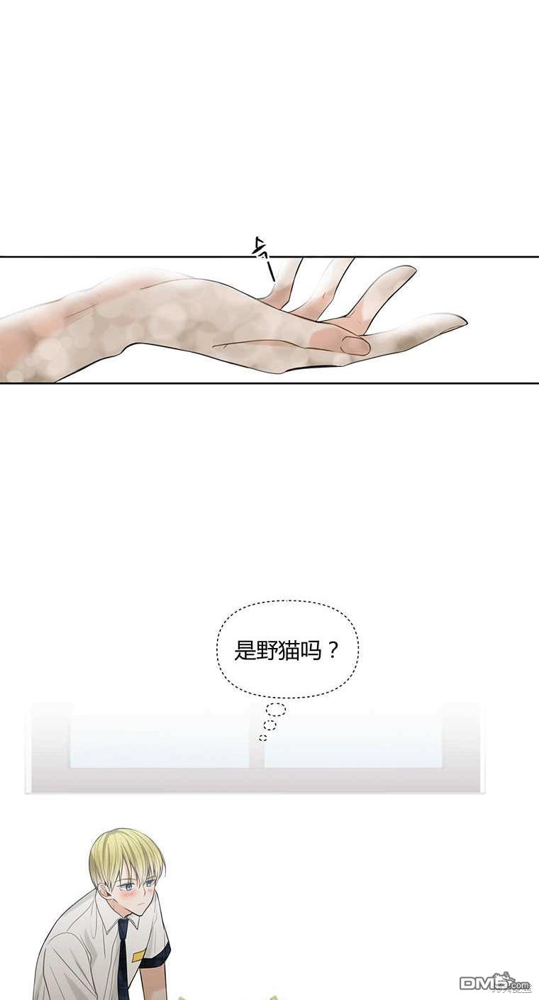 68.jpg
