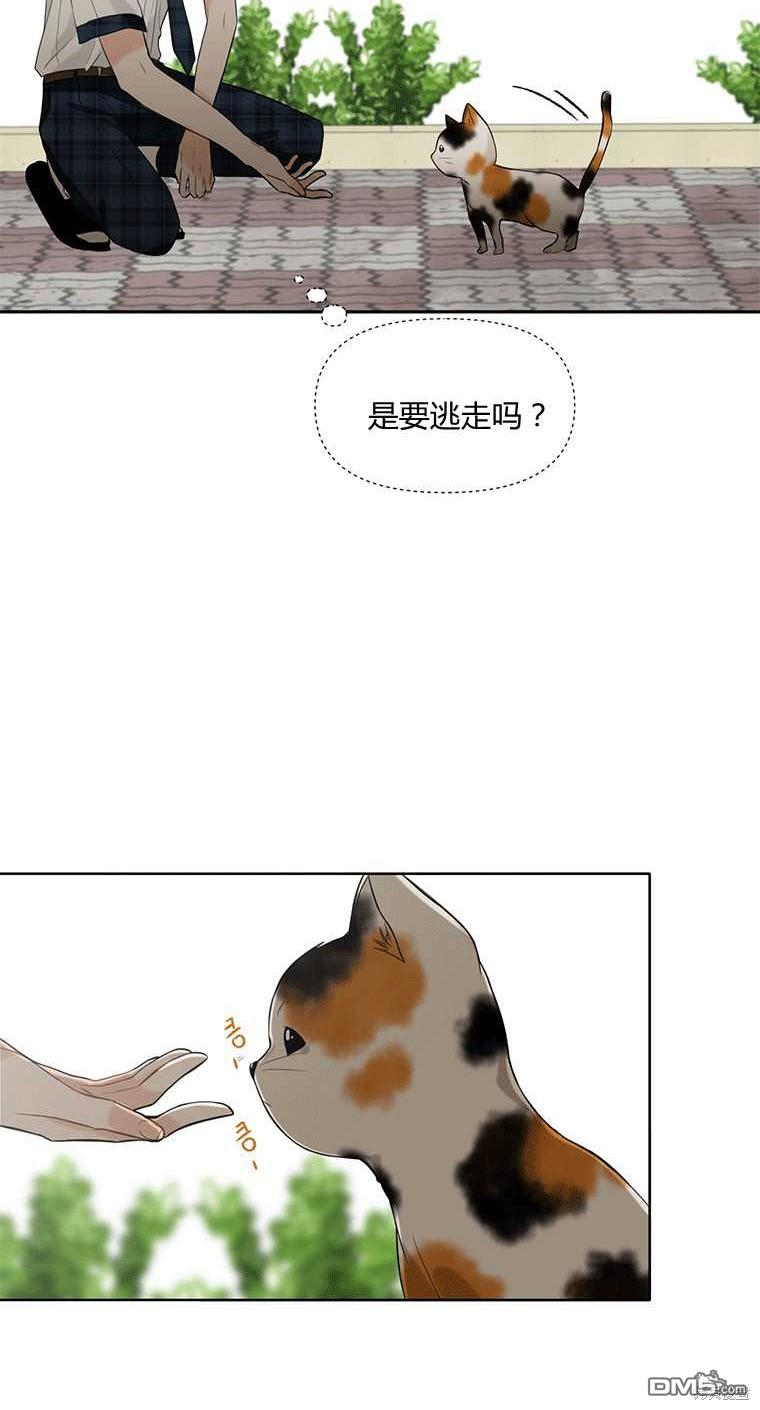 69.jpg