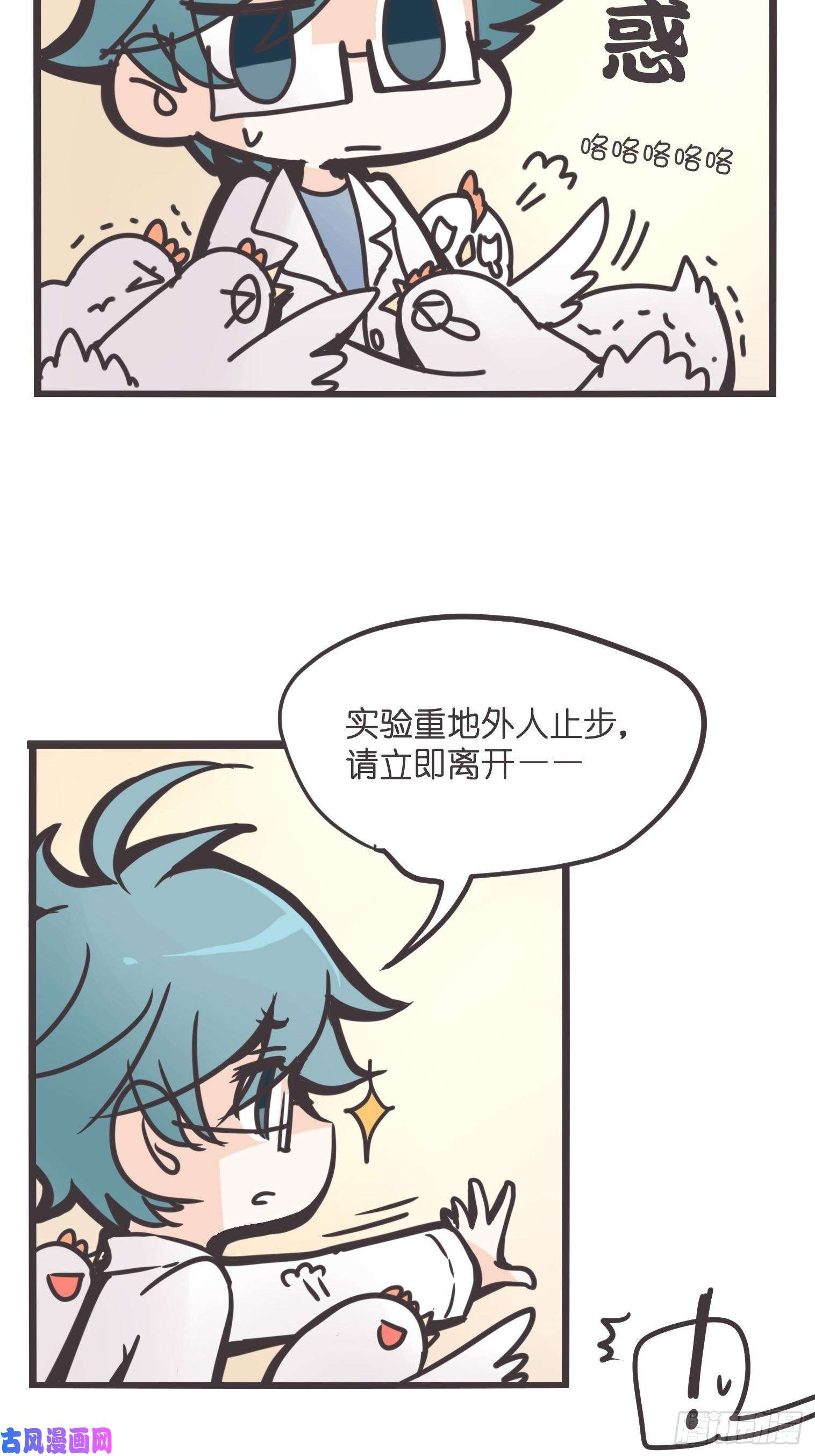 47.jpg