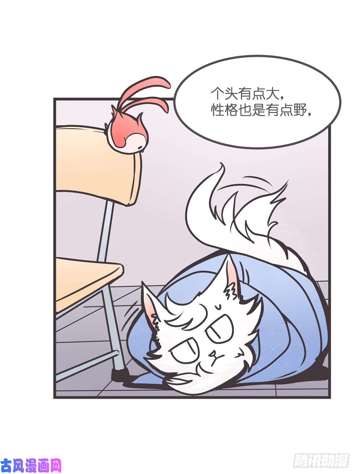 16.jpg