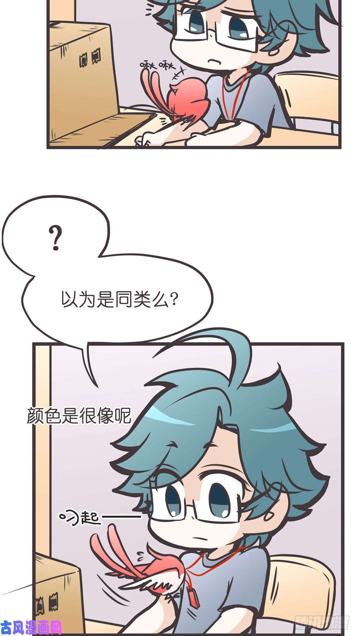 23.jpg
