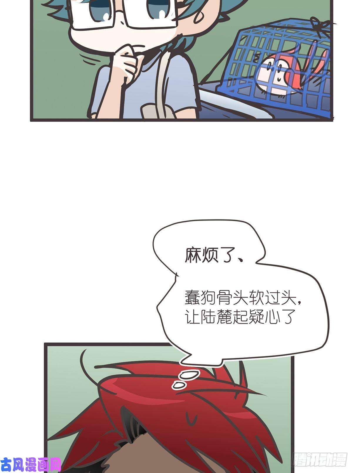 40.jpg
