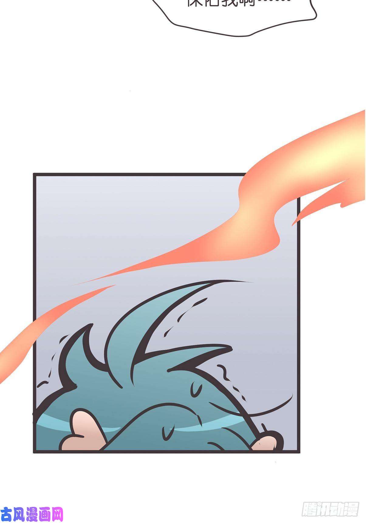 28.jpg