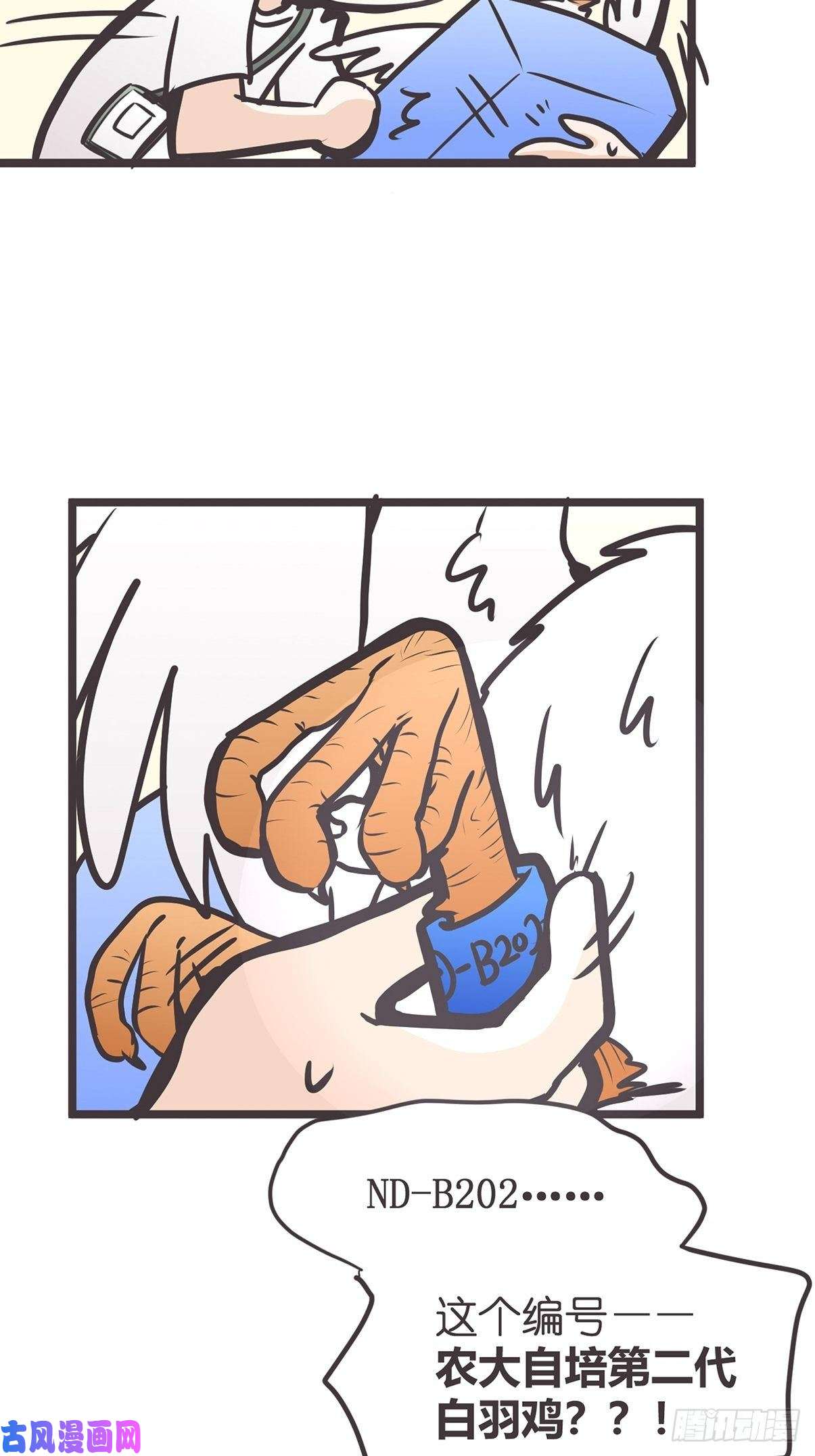 49.jpg