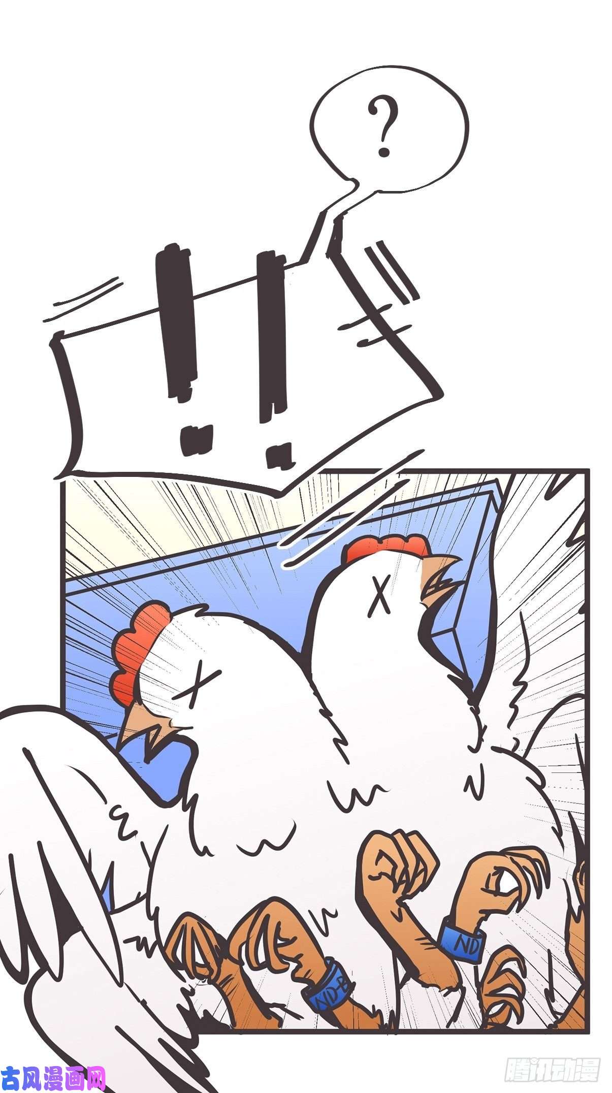 46.jpg