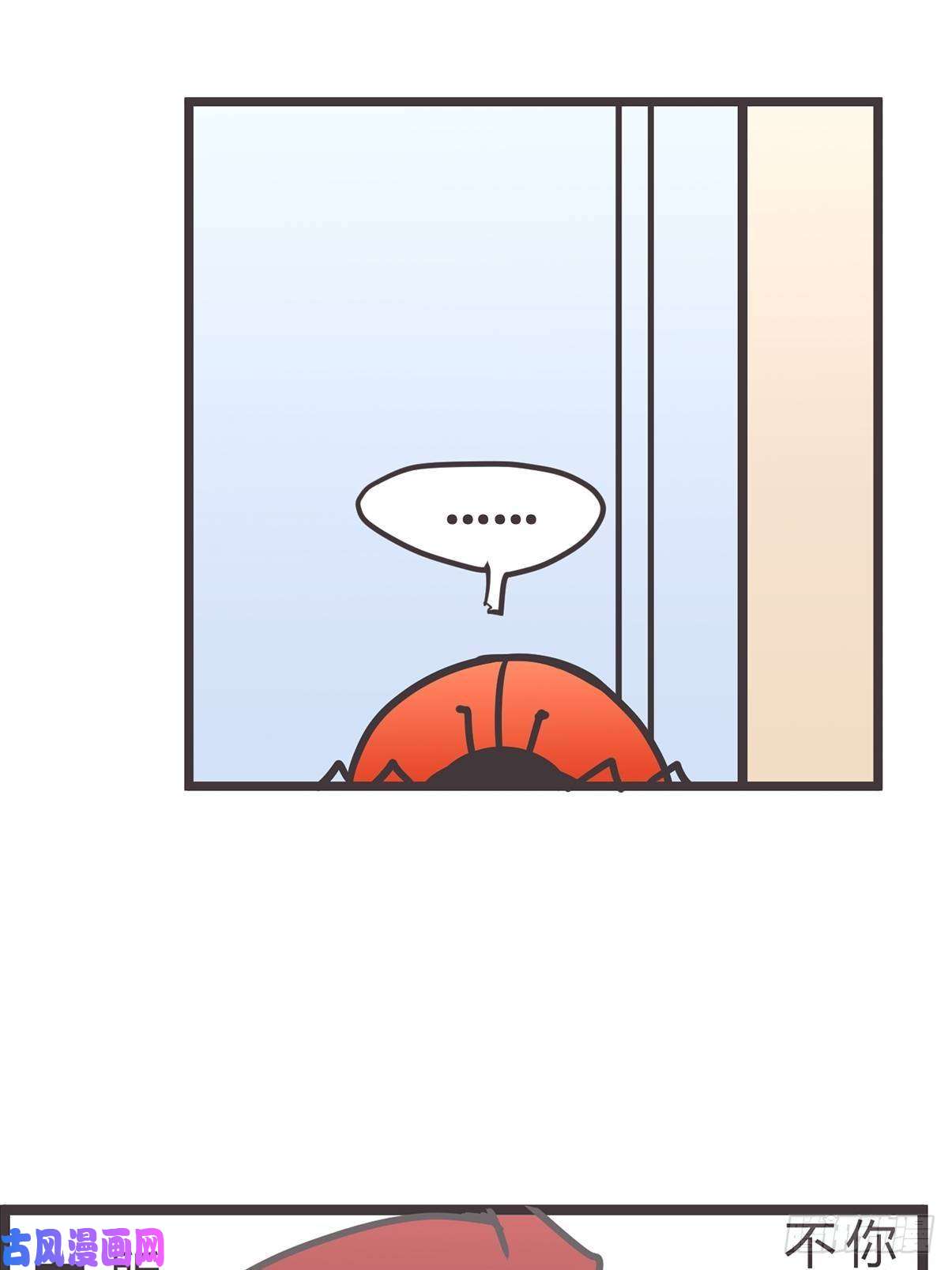 37.jpg