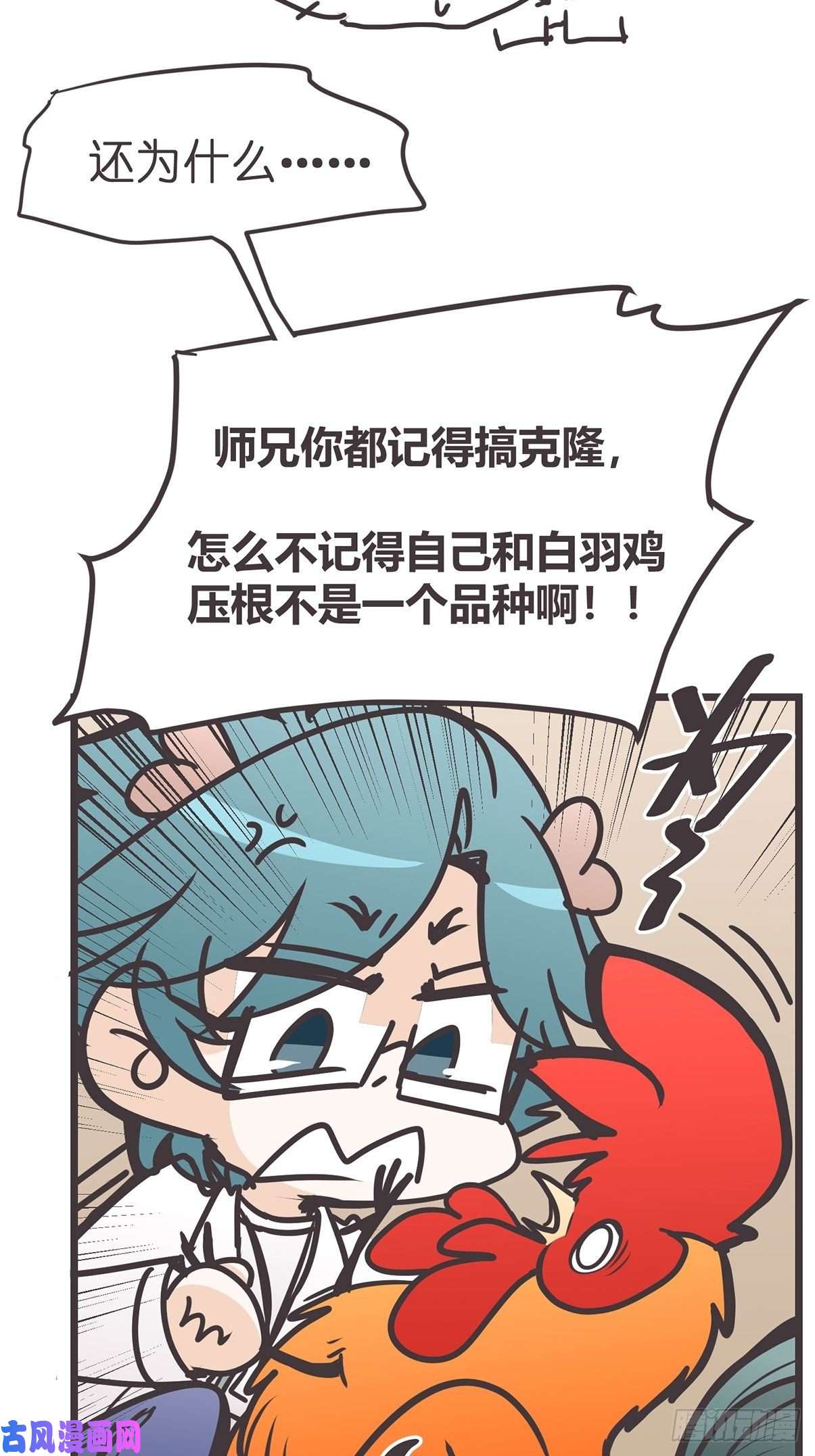 45.jpg