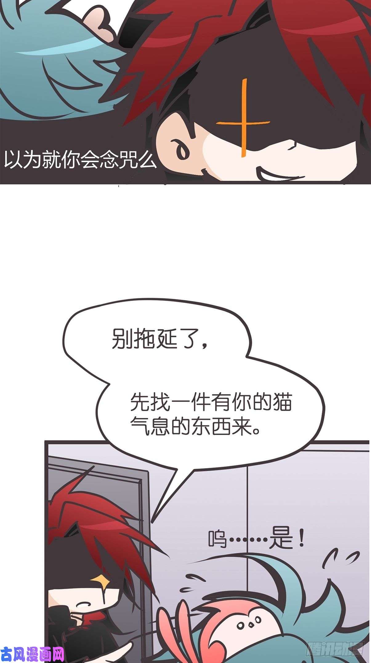 40.jpg