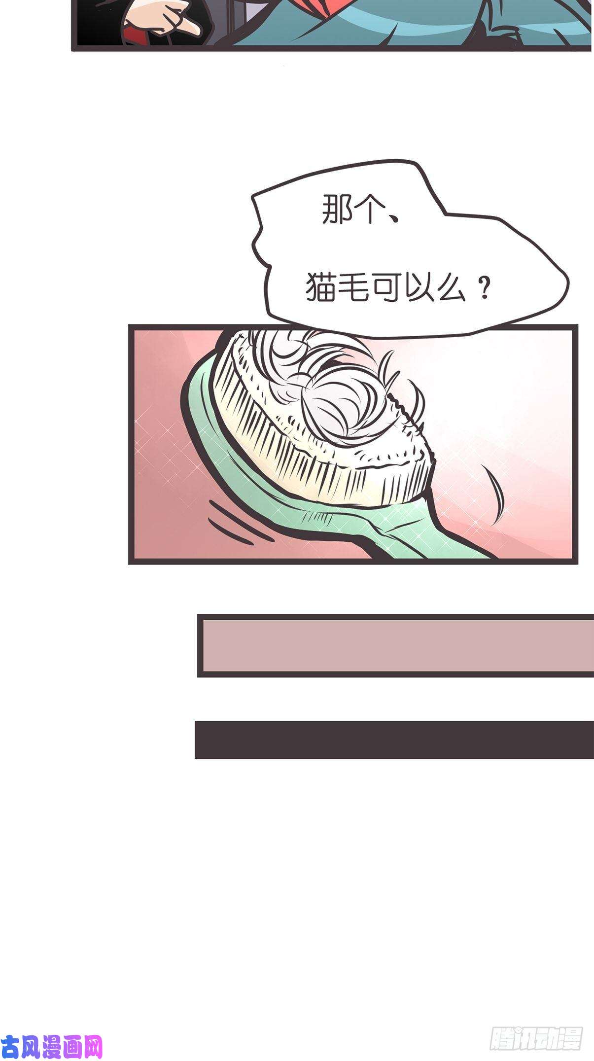 41.jpg