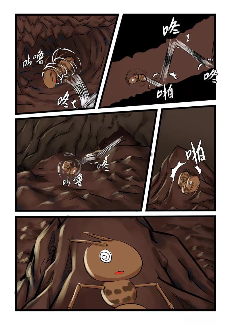5.jpg