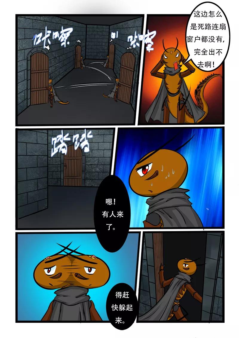 5.jpg