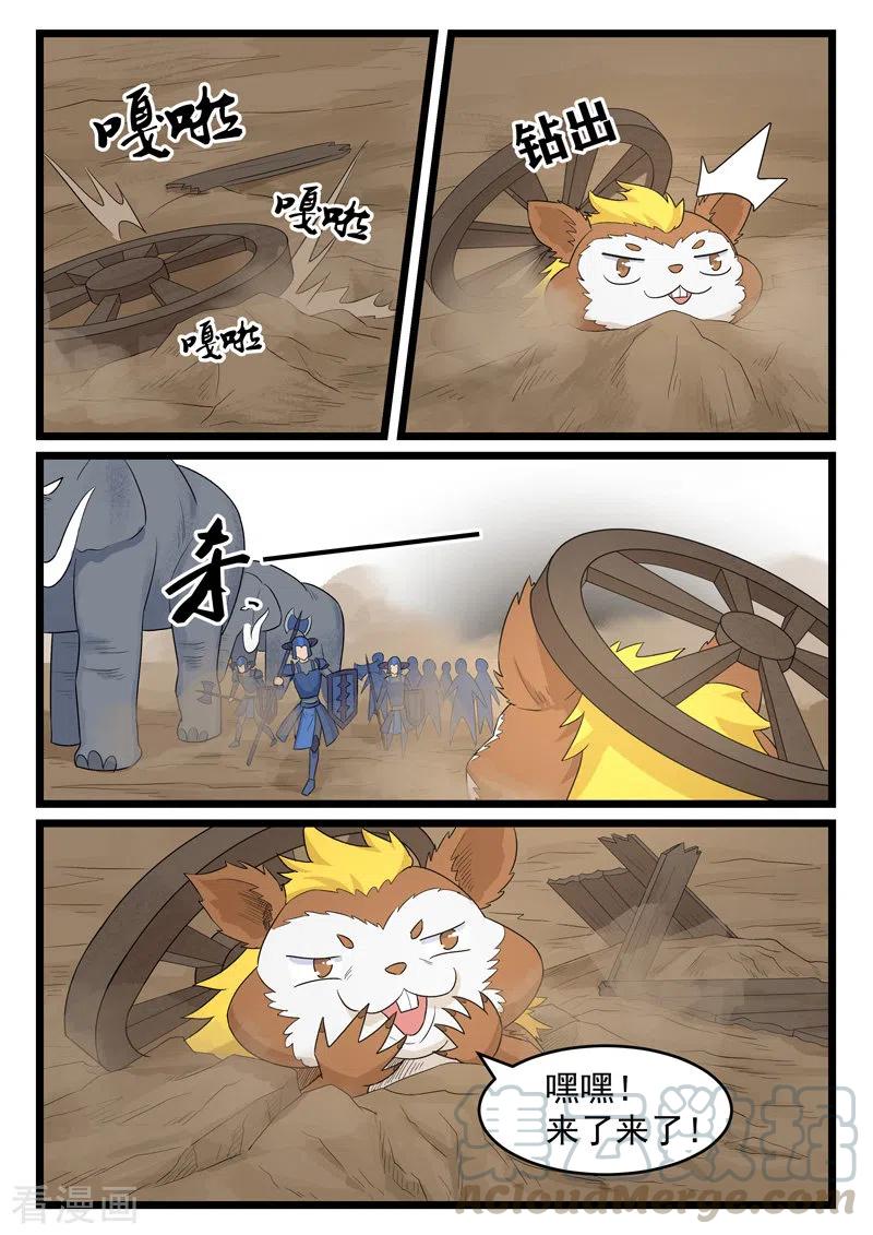 11.jpg