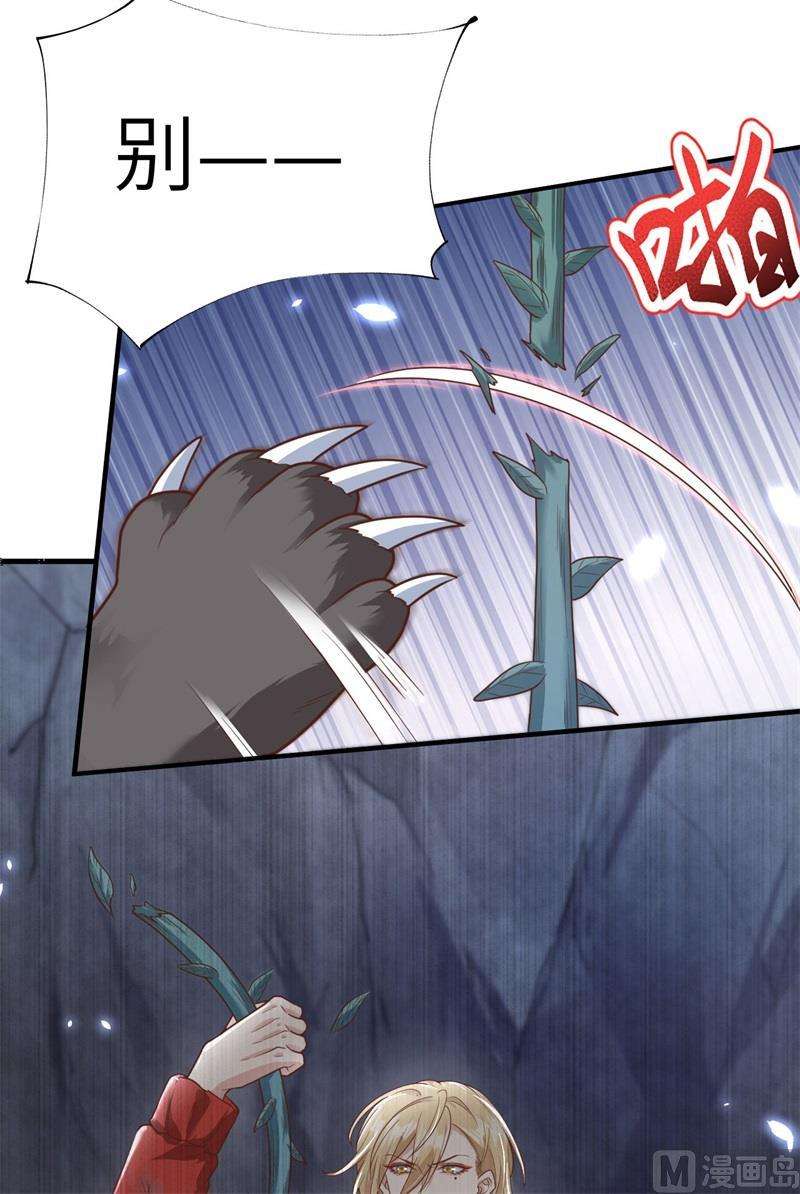 41.jpg