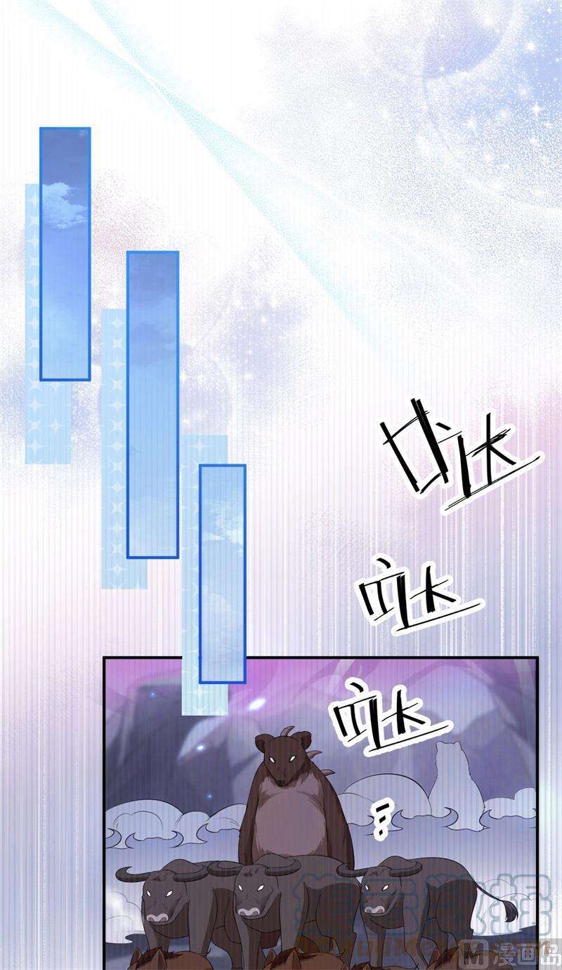55.jpg