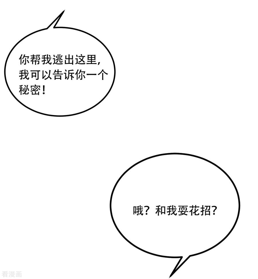 33.jpg