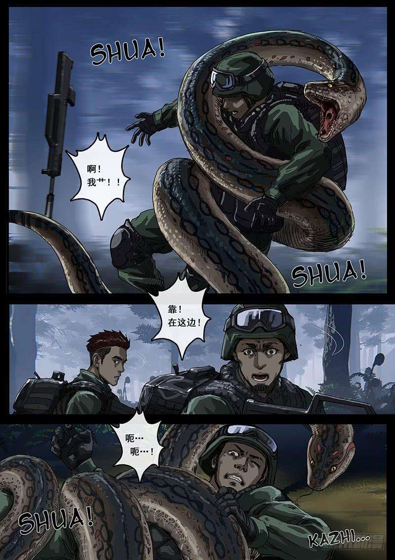 5.jpg