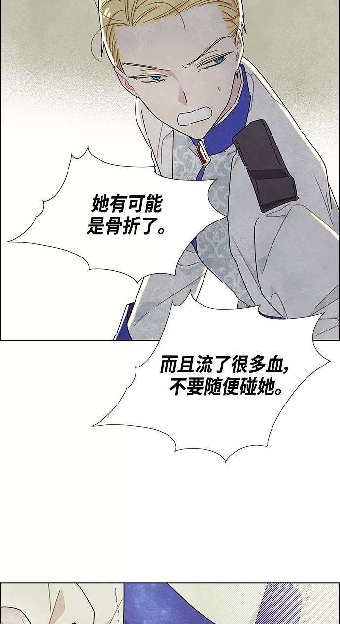 48.jpg