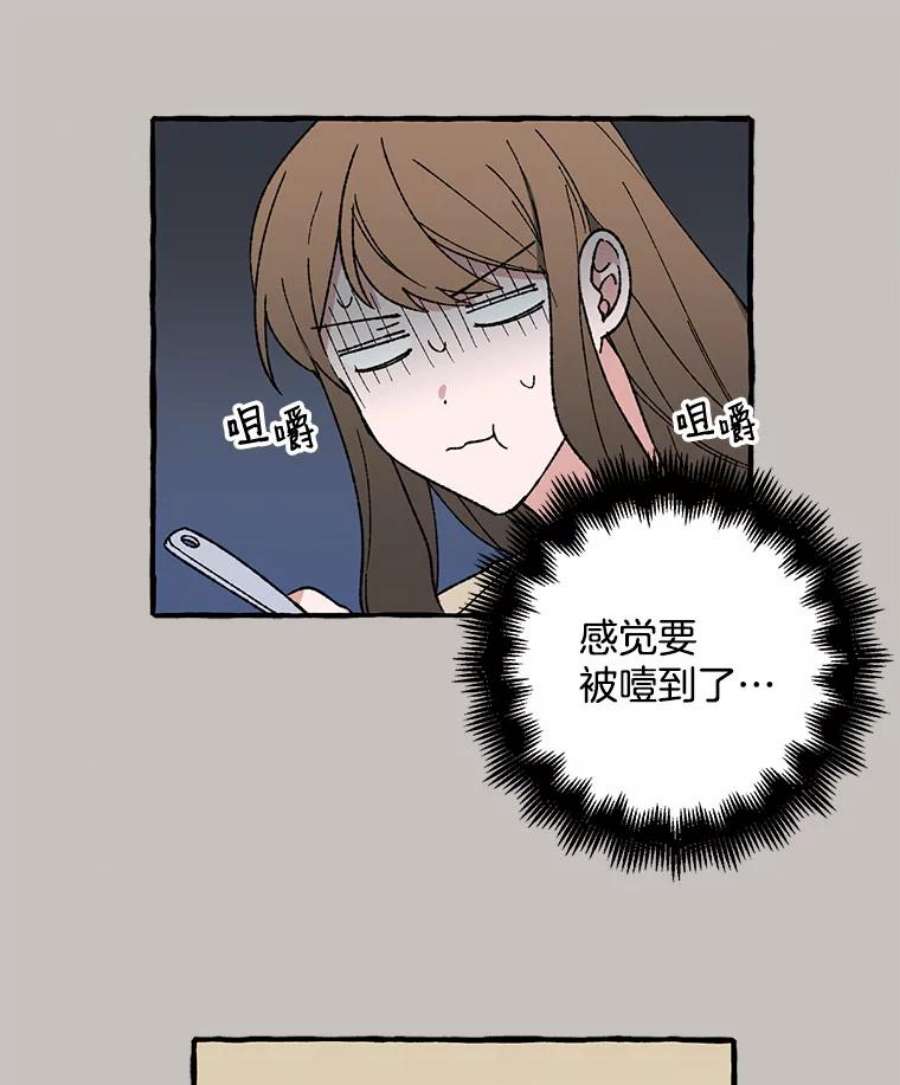 41.jpg