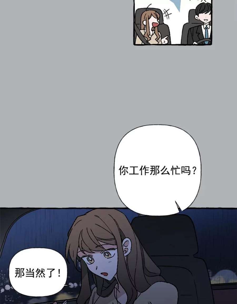 51.jpg