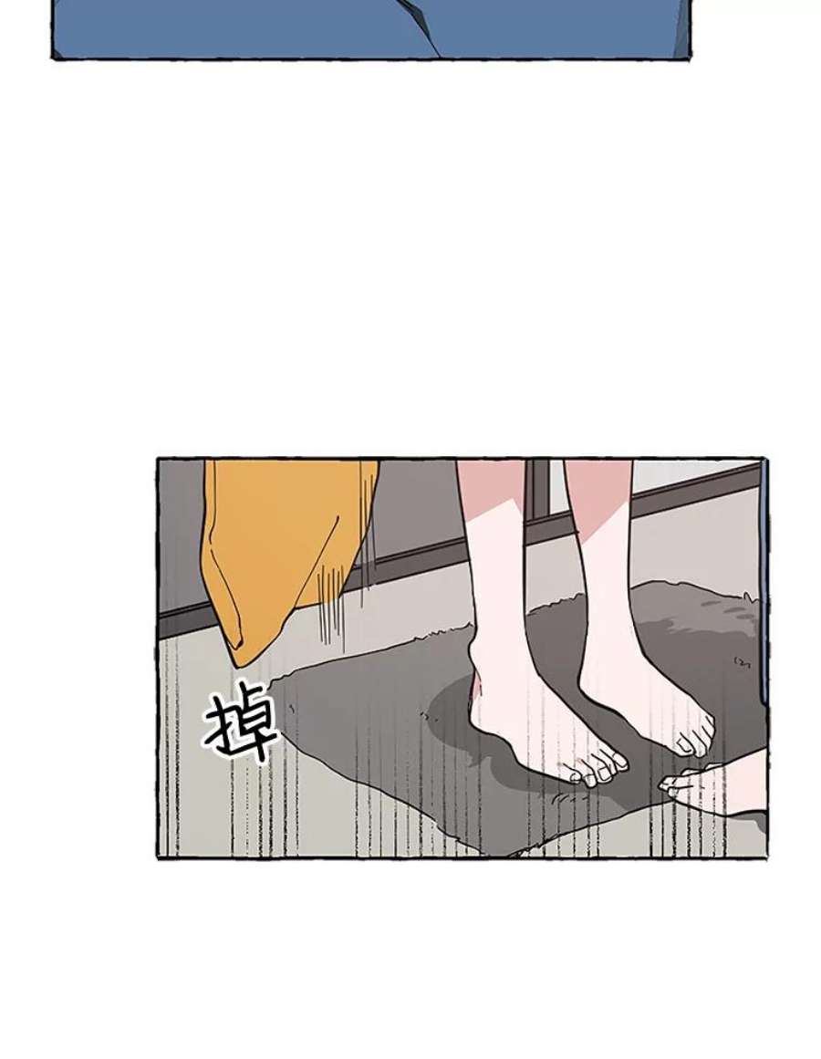 41.jpg