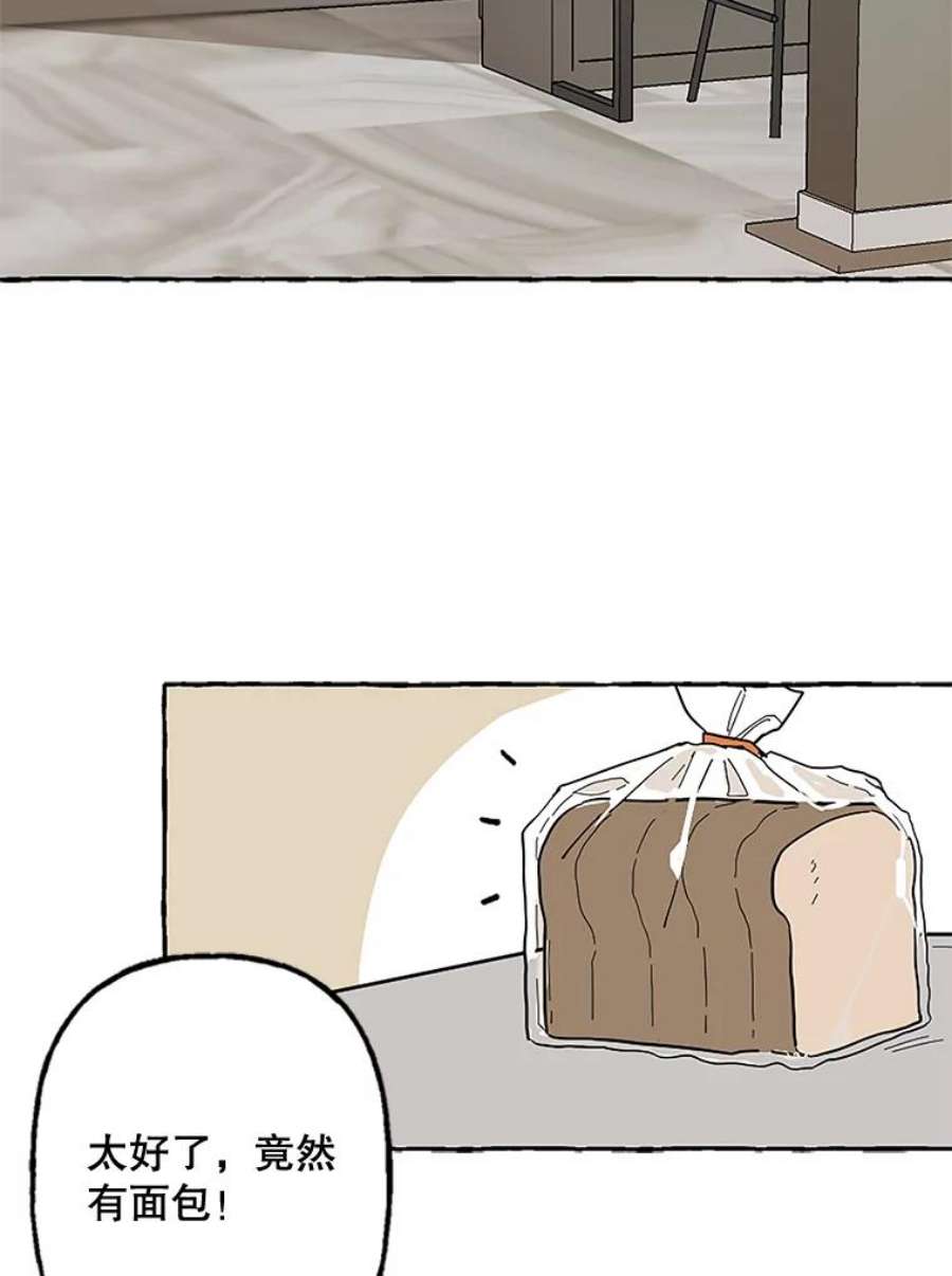51.jpg
