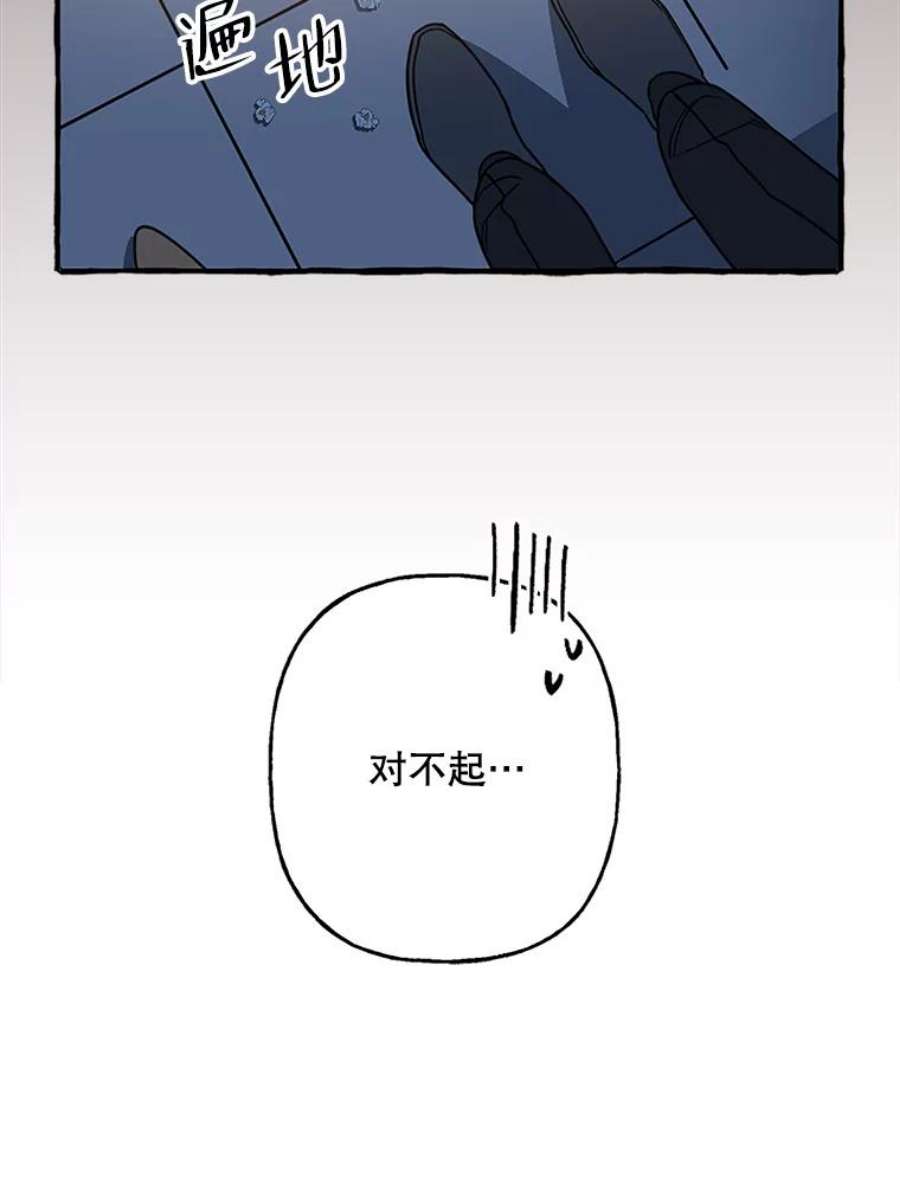 71.jpg