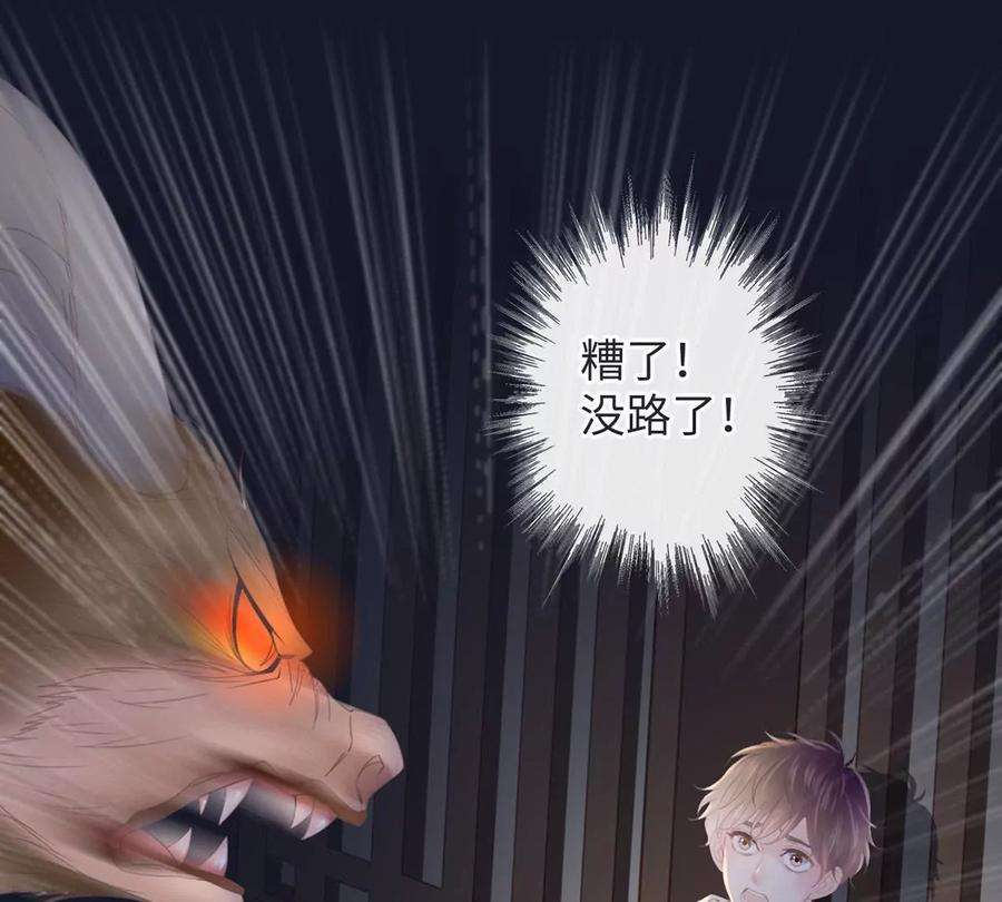 147.jpg