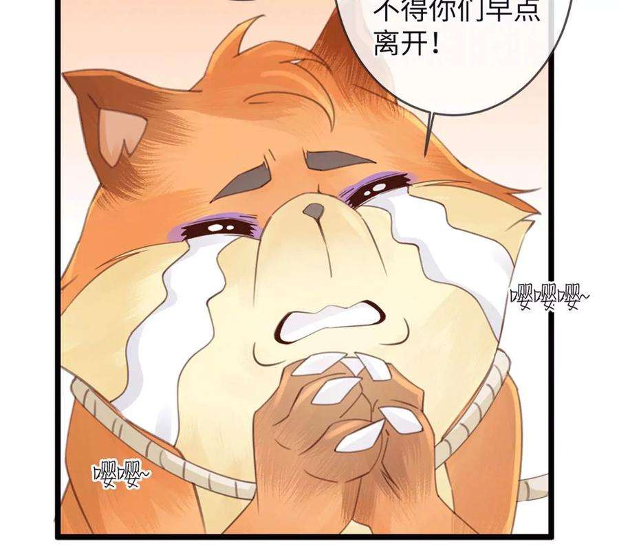 53.jpg