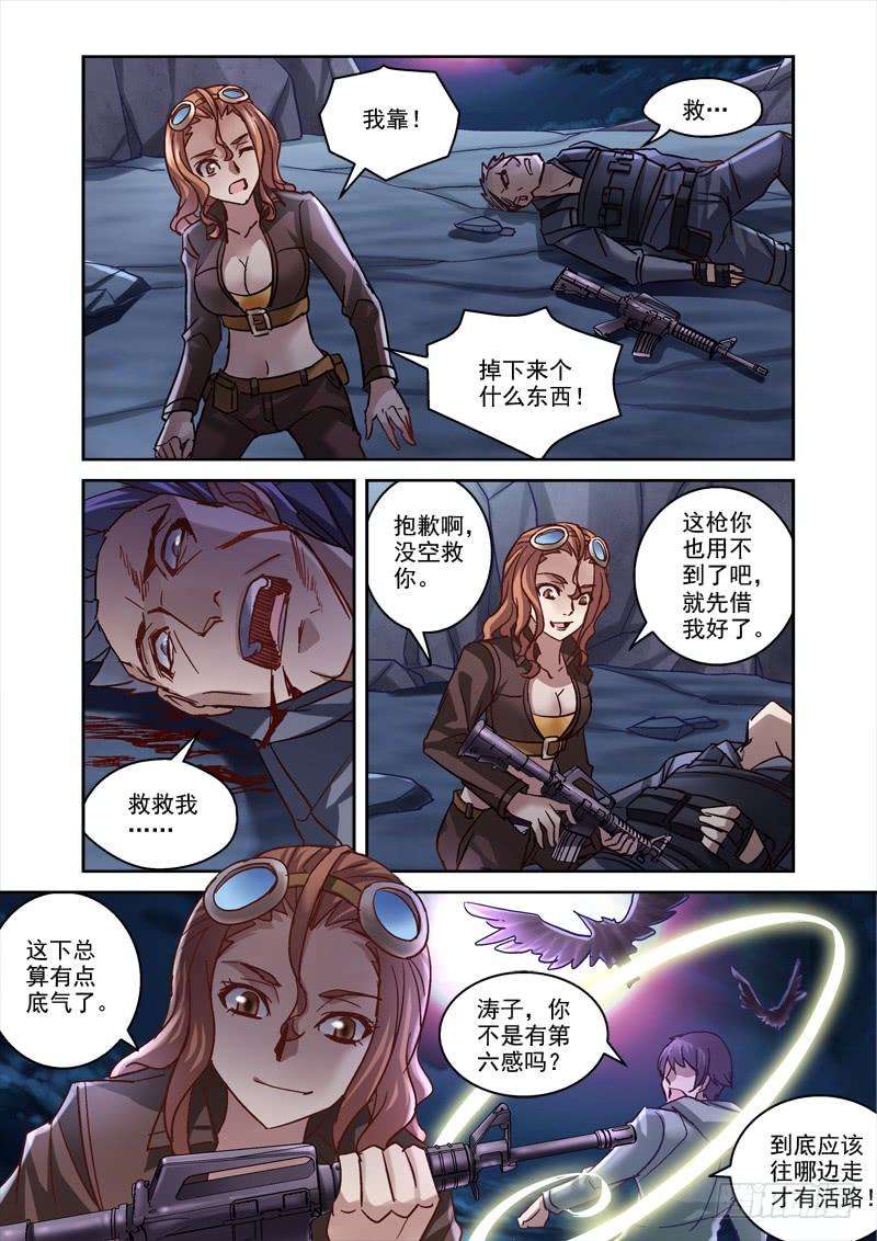 5.jpg