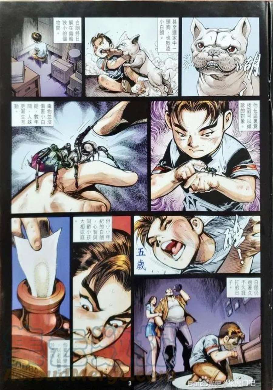 3.jpg