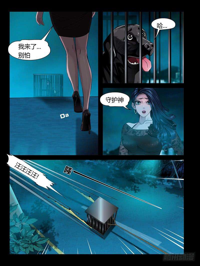 9.jpg