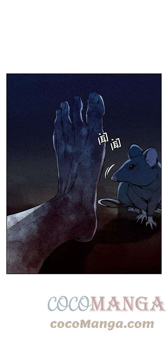 46.jpg