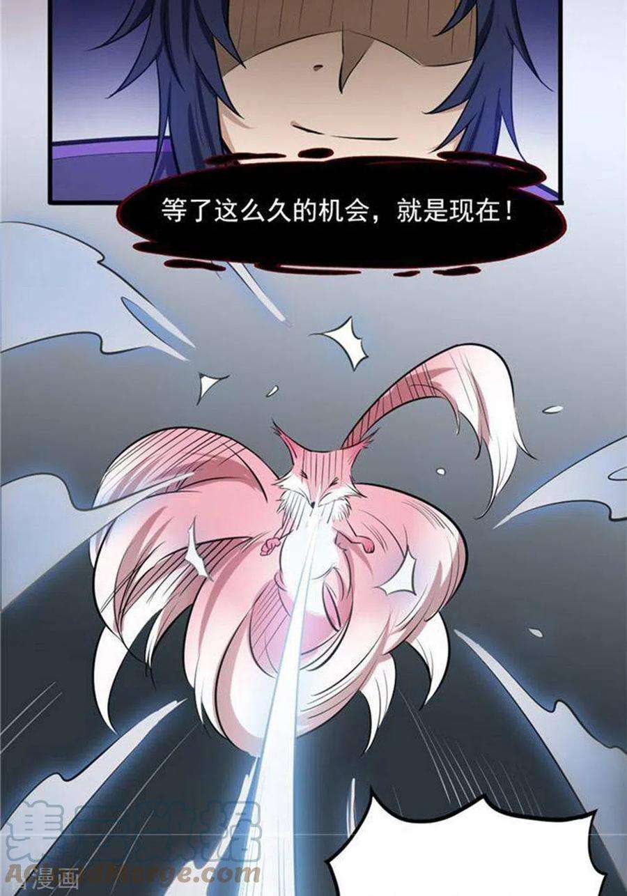 13.jpg