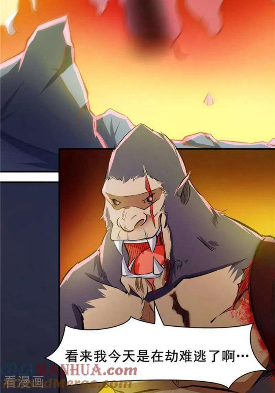 40.jpg